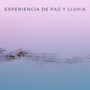 Experiencia De Paz Y Lluvia - Mar de ruido