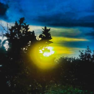 Comfort in Nature's Unsympathies - Byelti