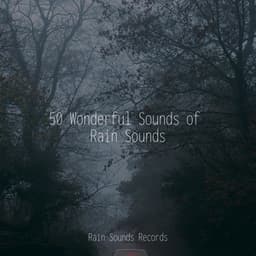 50 Wonderful Sounds of Rain Sounds - Relaxing Spa Music