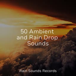 50 Ambient and Rain Drop Sounds - Meeresrauschen