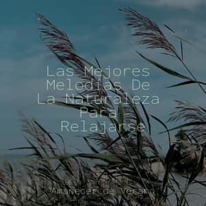 Las Mejores Melodías De La Naturaleza Para Relajarse - Canciones Infantiles de Niños