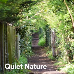 Quiet Nature - Weather and Nature Recordings