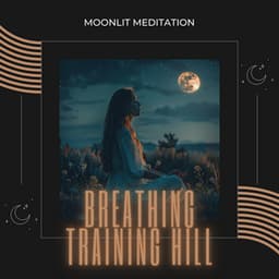 Moonlit Meditation: 4-4-4-4 Breathing and the Serenade of Night - Breathing Training Hill