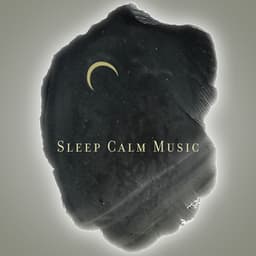 Sleep Calm Music: Pure Relaxation after Nightfall - Deep Sleep Hypnosis Masters