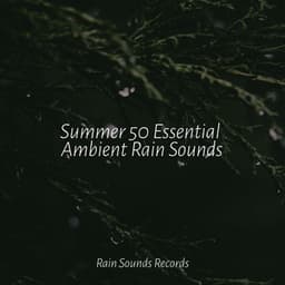 Summer 50 Essential Ambient Rain Sounds - Musica Relajante Specialistas & Musica Relajante