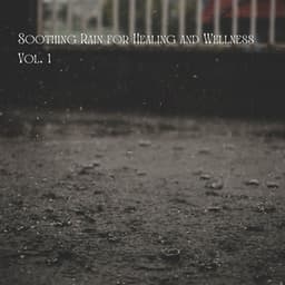 Soothing Rain for Healing and Wellness Vol. 1 - Rain Hive