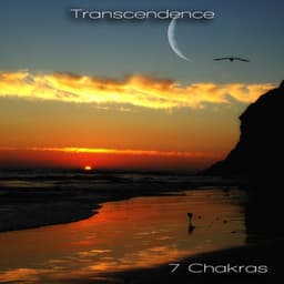 Transcendence - 7 Chakras