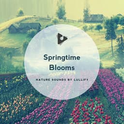 Springtime Blooms - Nature Sounds by Lullify