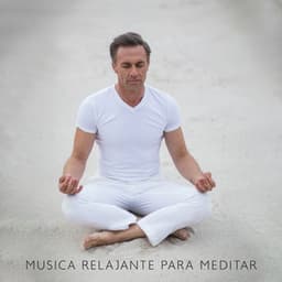 Musica Relajante para Meditar: Ejercicios de Relajación Muscular, Meditación Guiada para Dormir - Técnicas de Meditación Academia