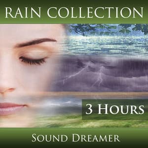 Rain Collection - 3 Hours - Sound Dreamer