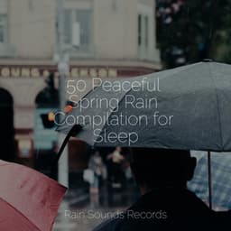 50 Peaceful Spring Rain Compilation for Sleep - Canción de Cuna