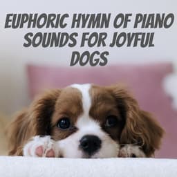 Euphoric Hymn of Piano Sounds for Joyful Dogs - One Audience Piano