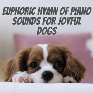Euphoric Hymn of Piano Sounds for Joyful Dogs - One Audience Piano