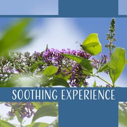 Soothing Experience - Gentle Crystal Sounds Divine