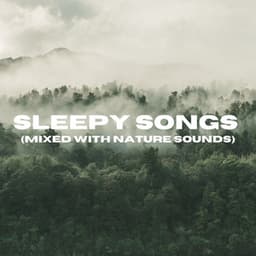 Sleepy Songs - Nature Sounds for Relaxation and Sleep