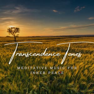Transcendence Tones: Meditative Music for Inner Peace - Soothing Meditate Symphony
