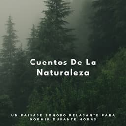 Cuentos De La Naturaleza: Un Paisaje Sonoro Relajante Para Dormir Durante Horas - Sonidos de la Naturaleza para Dormir
