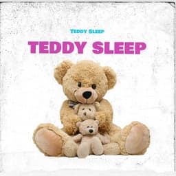 Teddy Sleep - Teddy Sleep