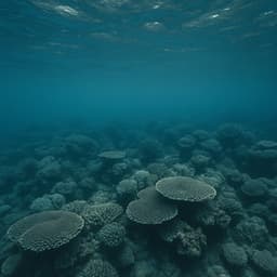 50 Oceanic Melodies: Whispers Between the Waves - Seascapers