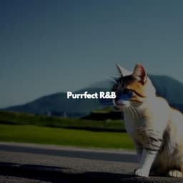 Purrfect R&B - Jazz Music for Sleeping