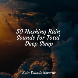 50 Hushing Rain Sounds for Total Deep Sleep - Sleepy Night Music
