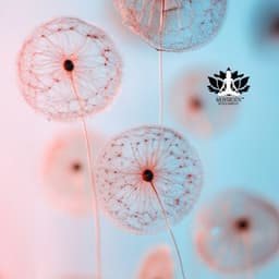 Camino Delicado Hacia la Paz - Meditación Música Ambiente