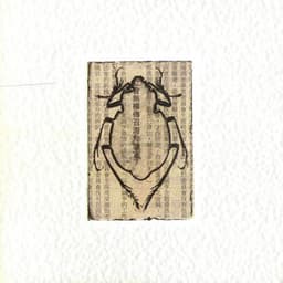 Joue Free - Bernard Falaise