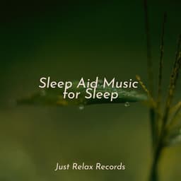 Sleep Aid Music for Sleep - Calm Music for Studying