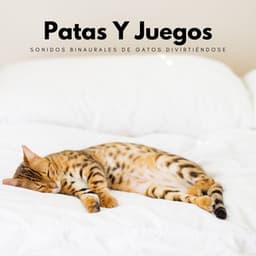Patas Y Juegos: Sonidos Binaurales De Gatos Divirtiéndose - Bob binaural