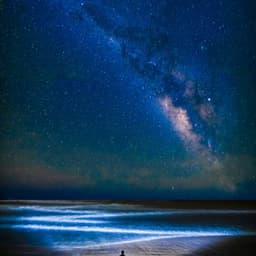 1 Coastal Night: In Twilight - Coastal Sounds