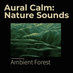 Aural Calm: Nature Sounds - Ambient Forest