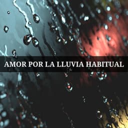 Amor Por La Lluvia Habitual - Meditación Trascendental