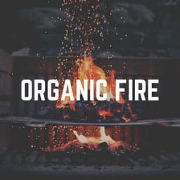 Organic Fire - Weihnachtskamin
