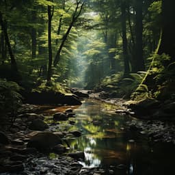 Música Para Aliviar El Estrés: Serenidad Subacuática En Cadencia - Investigación de sonidos de la naturaleza