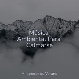 Música Ambiental Para Calmarse - Rising Higher Meditation