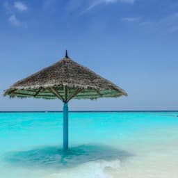 50 Meditative Waters: Focus & Concentration - Seascapers