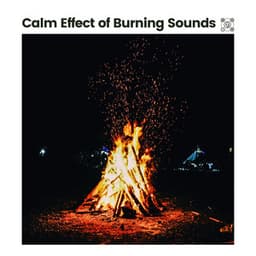 Calm Effect of Burning Sounds - Fireplace FX Studio