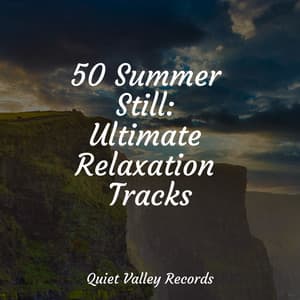 50 Summer Still: Ultimate Relaxation Tracks - Nature and Rain
