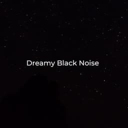 Dreamy Black Noise - Black Noise Sleep