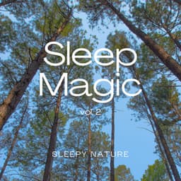 2022 Sleep Magic vol. 2 - Sleep Tech