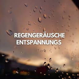 Regengeräusche Entspannungs - Regengeräusche Orchester von TraxLab