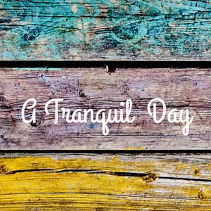 A Tranquil Day - Yoga Sounds