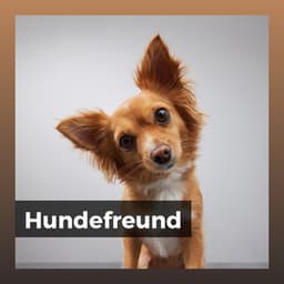 Hundefreund - Hundemusik
