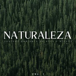 Naturaleza: Sonidos Ambiente De Aves Y Bichos Vol. 1 - Naturaleza Caldwell