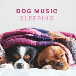 Dog Music - Sleeping Songs for Dogs and Puppies - Sleepy Dogs