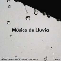 Música De Lluvia: Música De Meditación Con Dulces Sonidos Vol. 1 - Academia de sonido de lluvia curativa