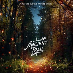 Ancient Trail - Nature Sounds Nature Music