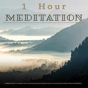 1 Hour Meditation: Nature Sounds, Forest Sounds and Bird Sounds Meditation Playlist For Meditation Music, Yoga Music, Spa Music, Massage Music, Focus, Concentration, Healing, Wellness and Mindfulness - Meditation Playlist