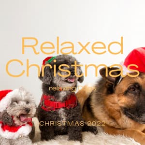 2 0 2 2 Relaxed Christmas - Dog's Music