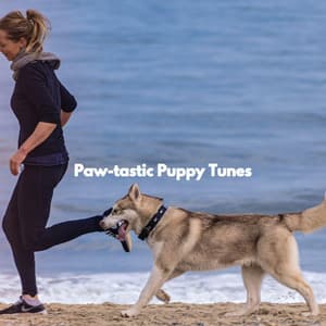 Paw-tastic Puppy Tunes - Jazz & Study Playlist
